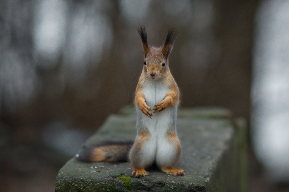 Photograph by Алексей