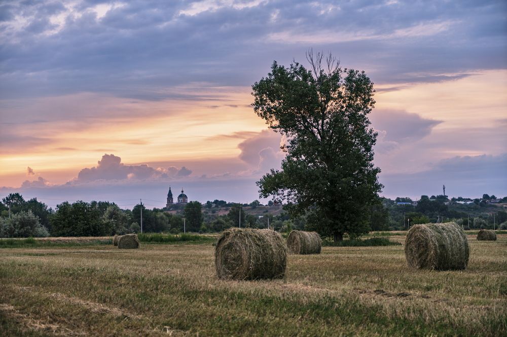 Донские зори. Ст. Бессергеневская, Ростовская обл.