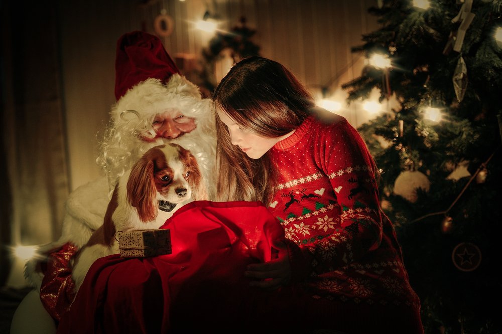 Новогодняя сказка