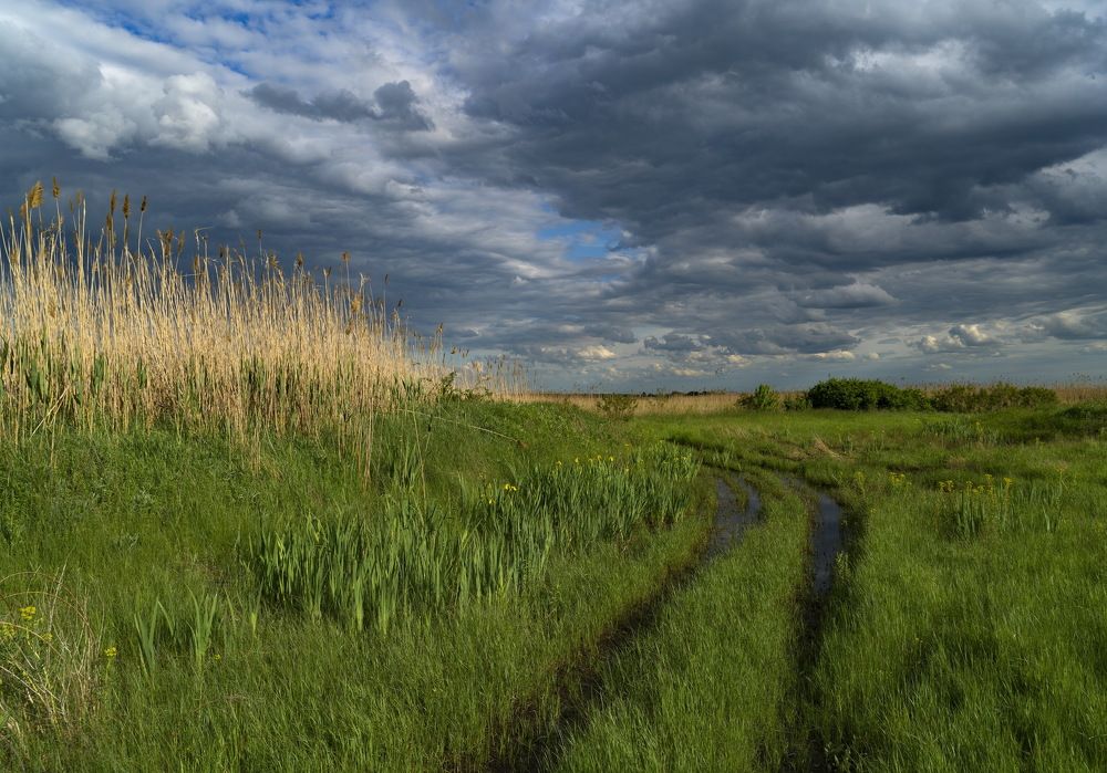Май. После дождя