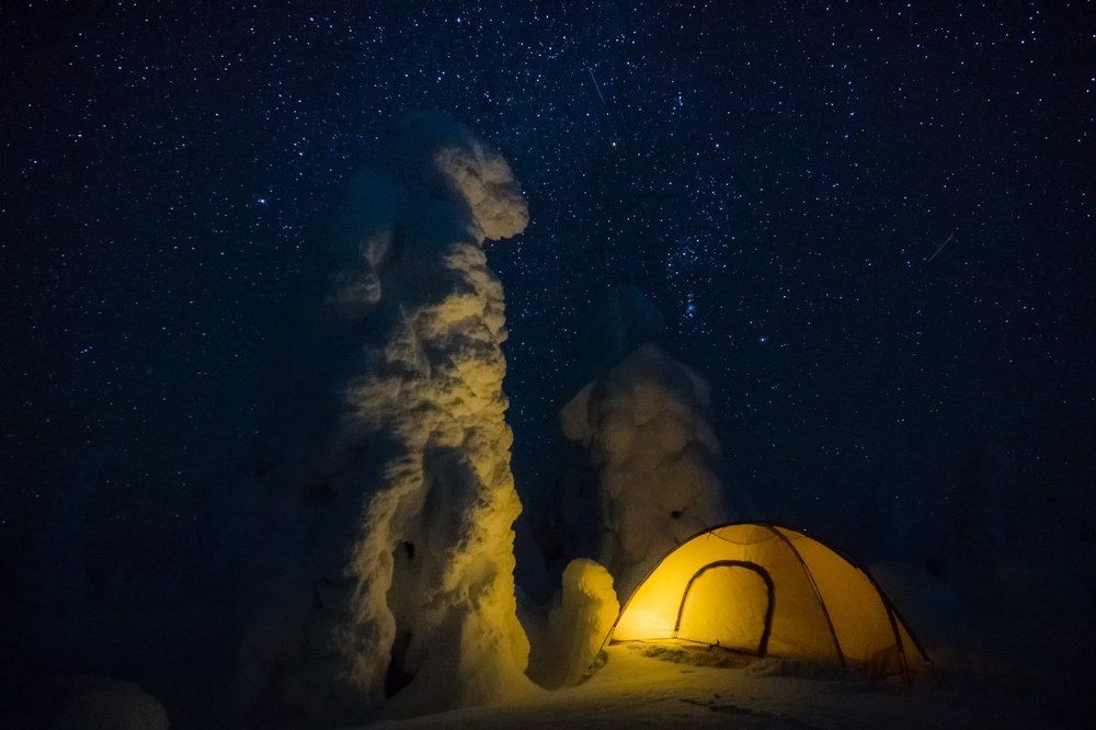 Звёздная ночь