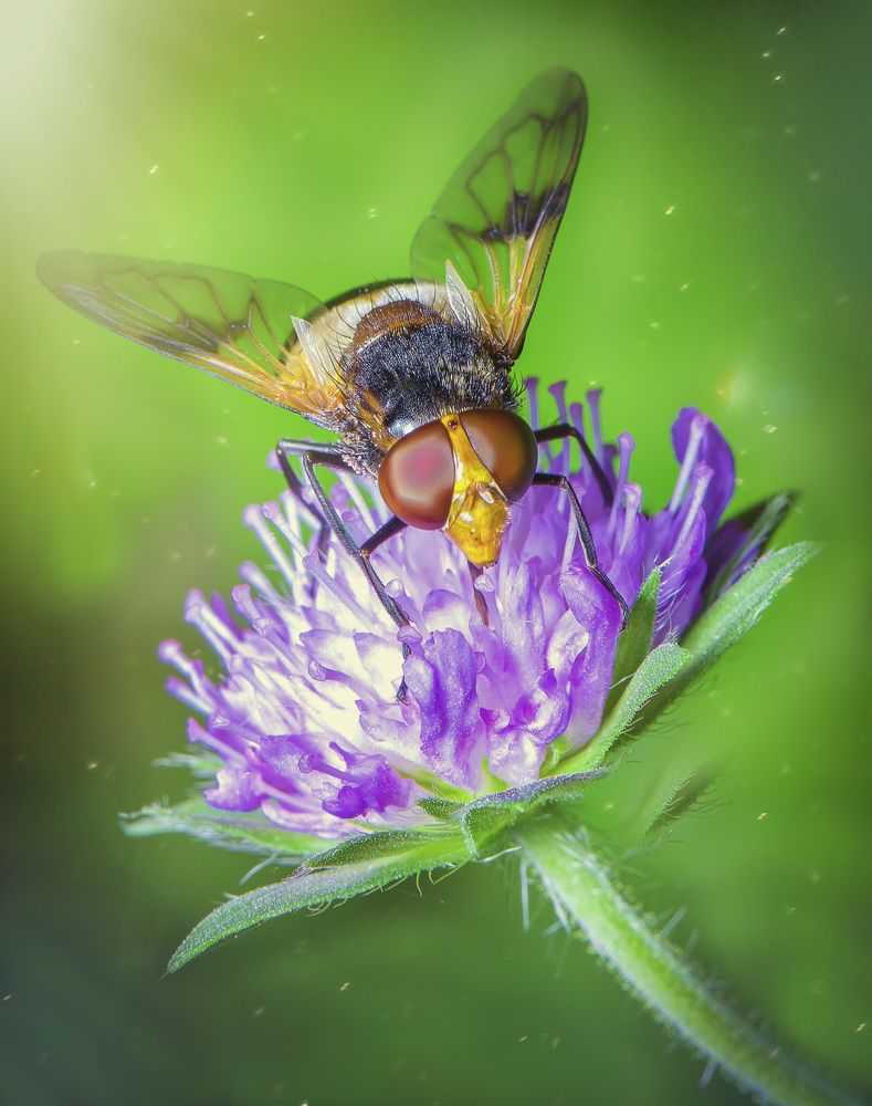 Photograph by Рутковский Дмитрий