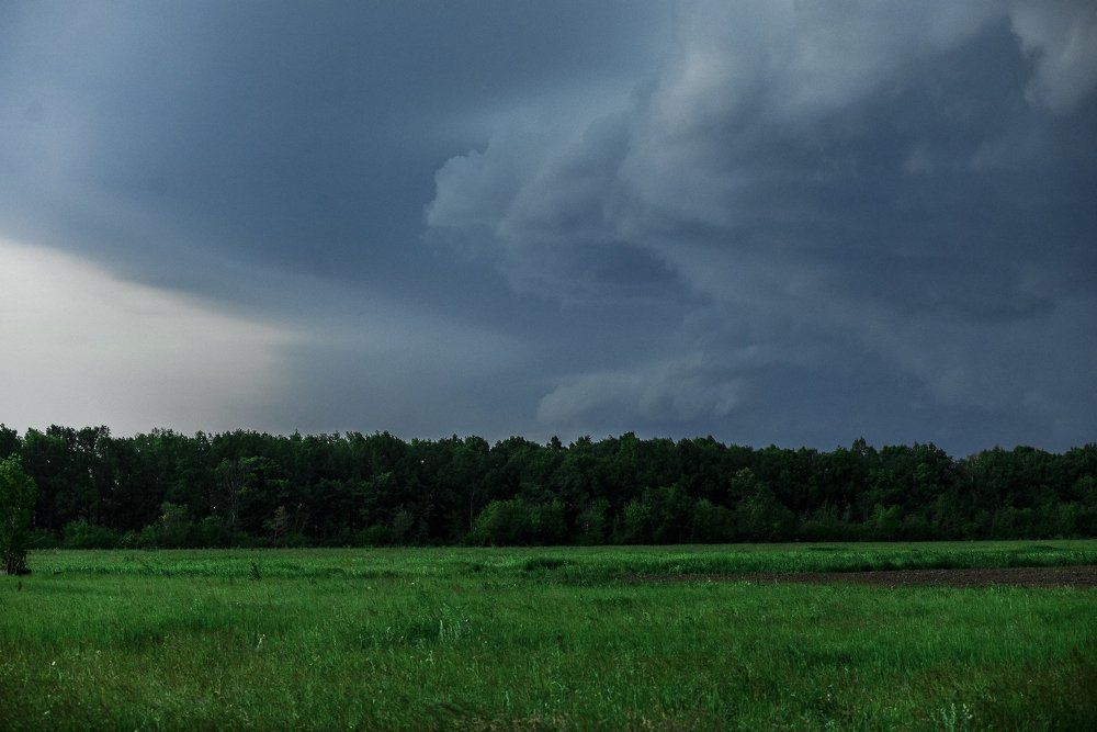 Перед грозой