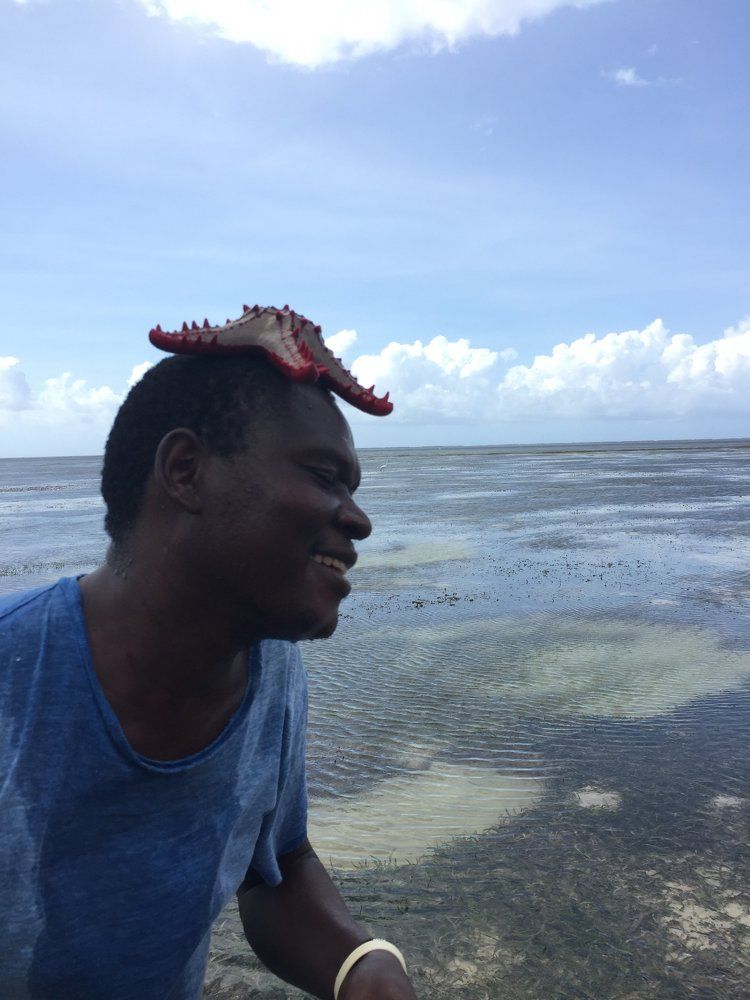 Морская звезда. Кения, побережье Момбаса