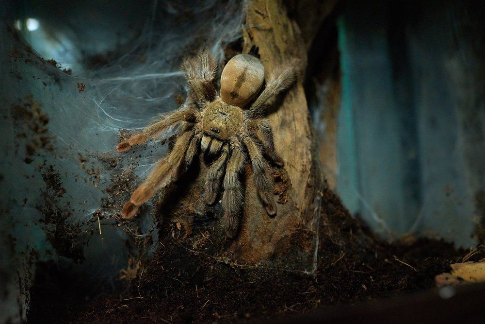 Photograph by Виталий Андросов