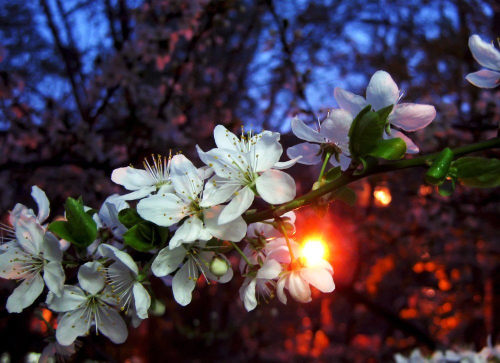 Весна is coming