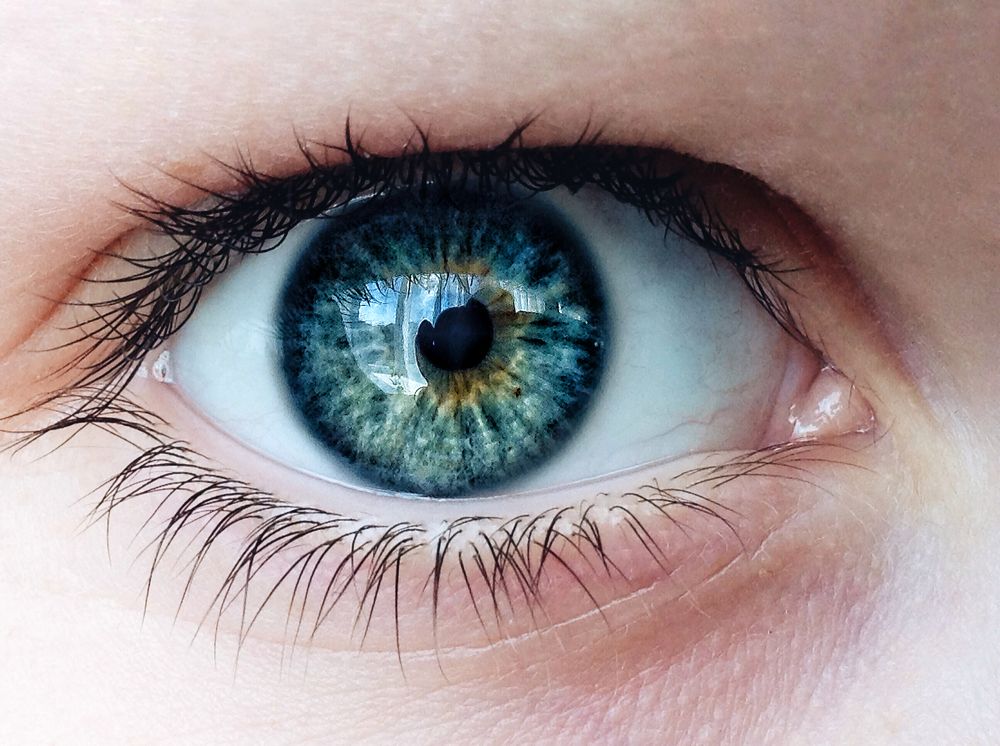 Photograph by Милолика Лейбовиц