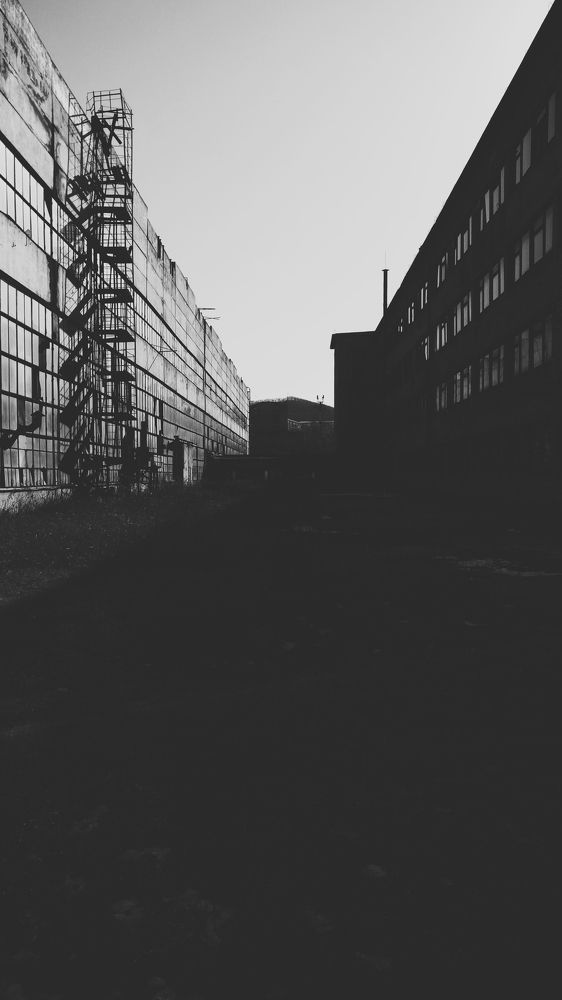 в тени уходящего солнца