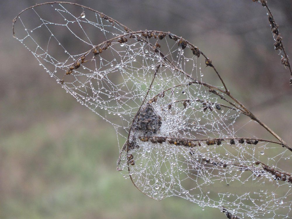 Photograph by Виктор