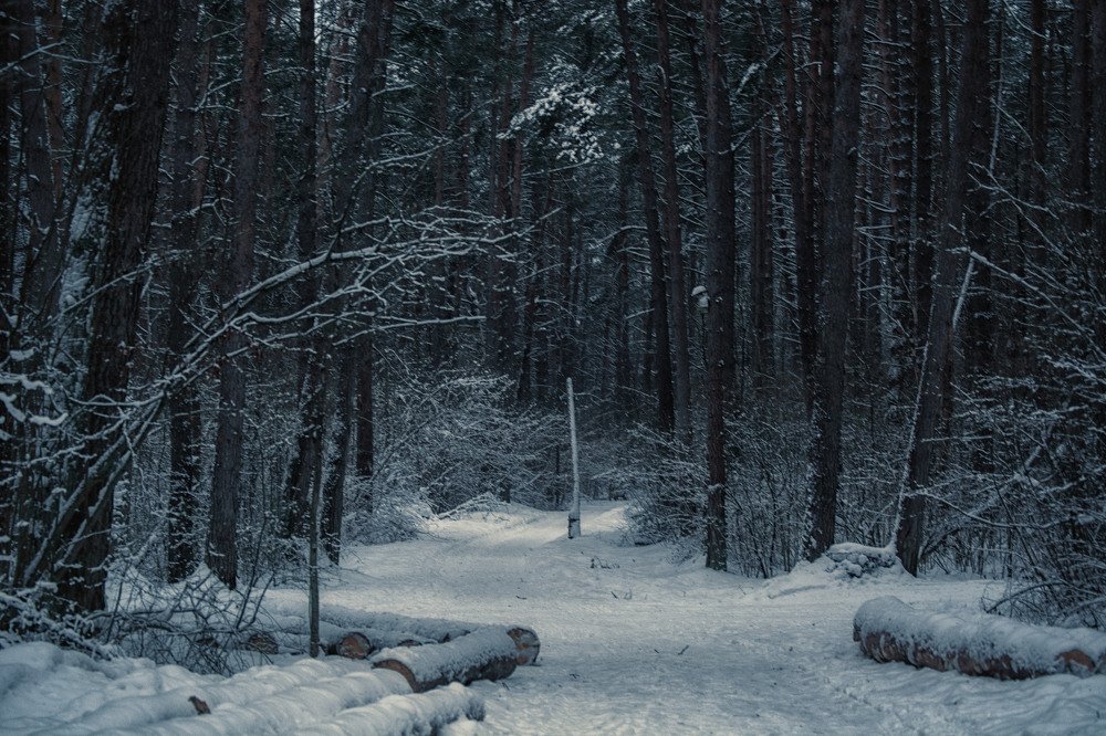 Photograph by Яна Кобелева