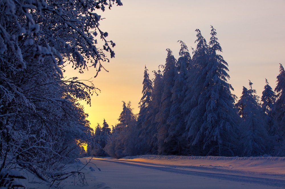 Январское утро