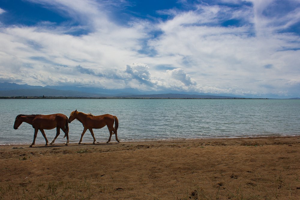 Photograph by Александр Чаплинский