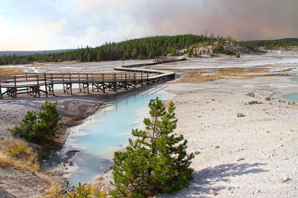 Yellowstone
