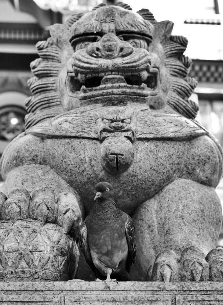 Под надежной защитой