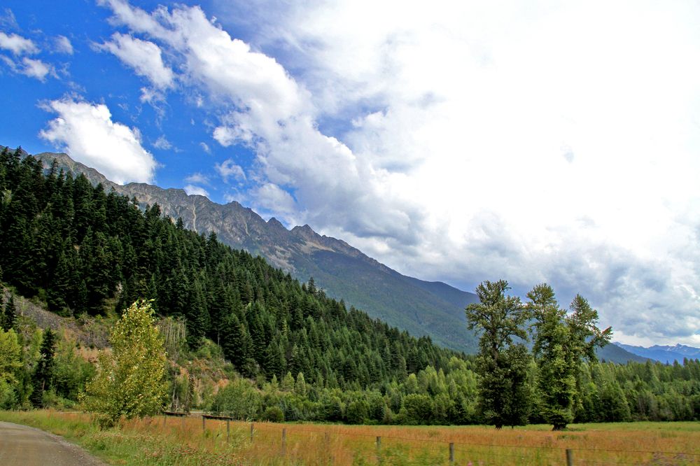 Summer in the Mountains