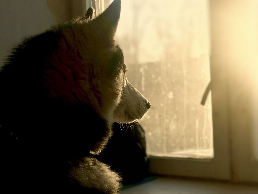 Photograph by Костина Мария