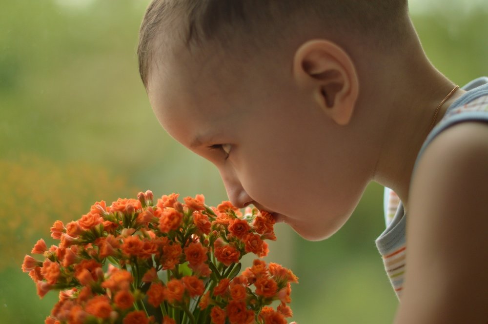 Запах весны...