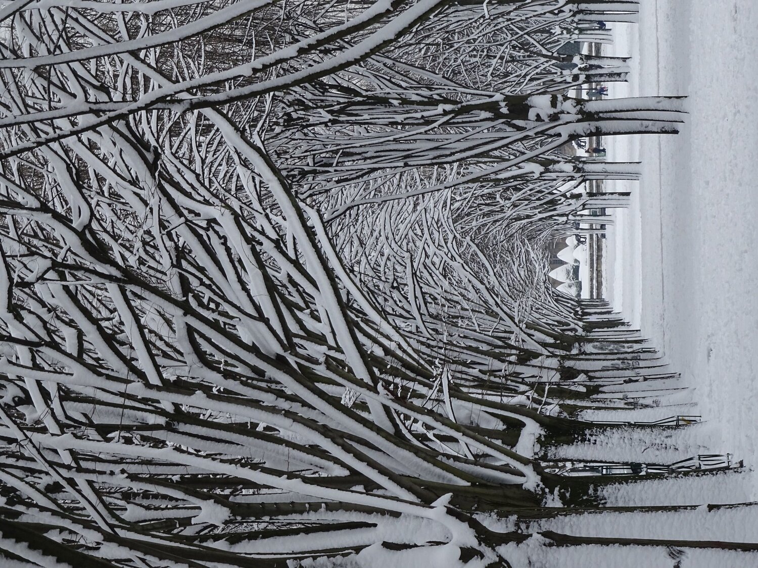 Snowfall in Paris