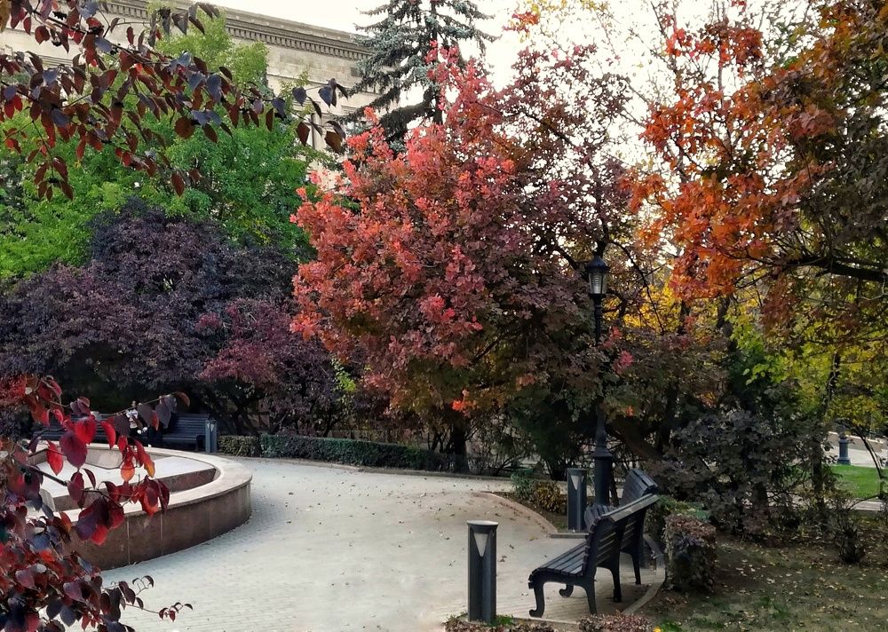 Разноцветная осень