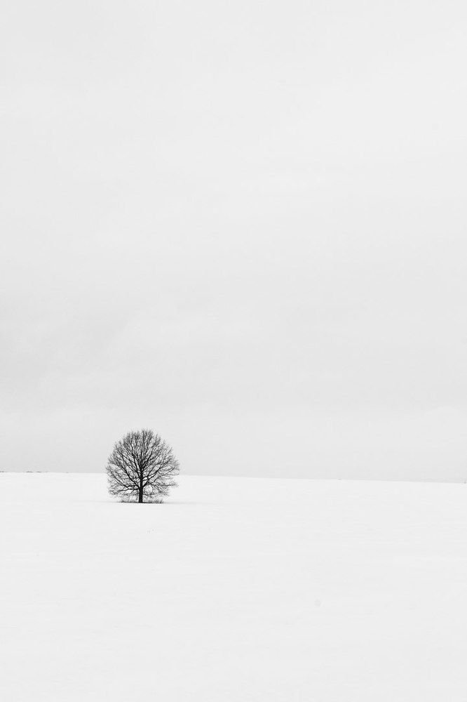 Одиночество