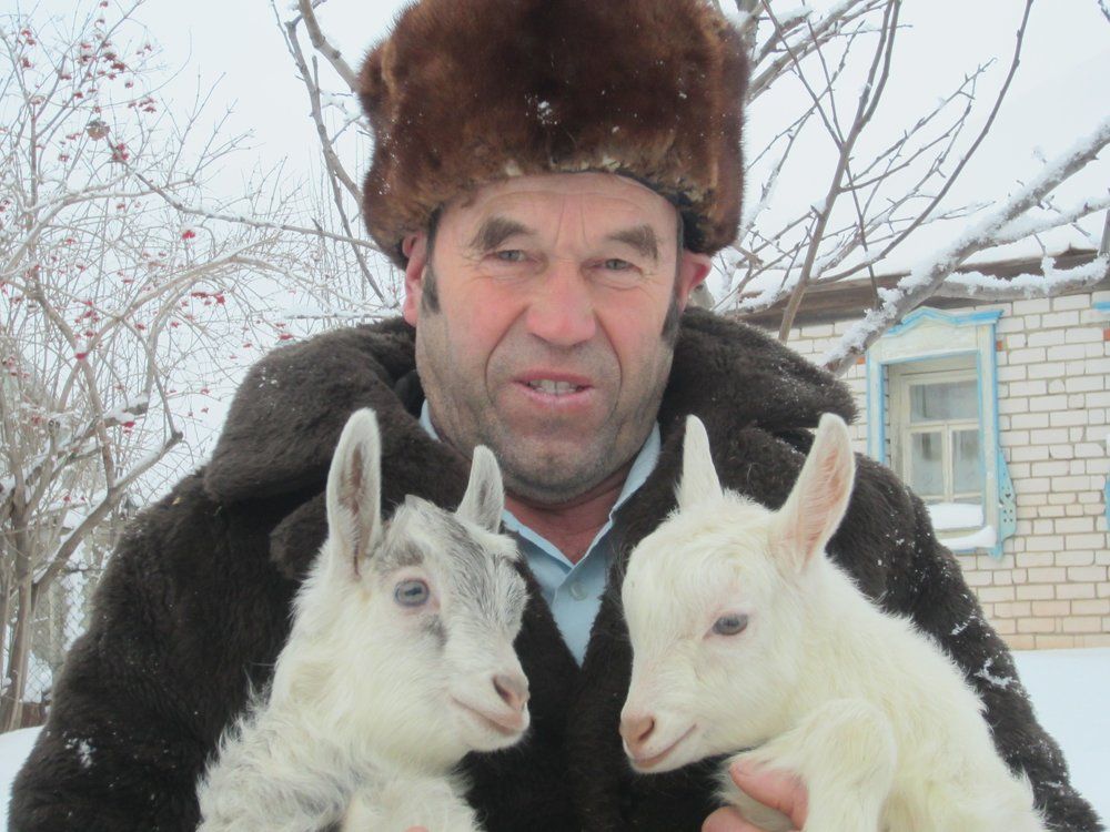 МОИ КОЗЛЯТА - MY GOATS!.JPG