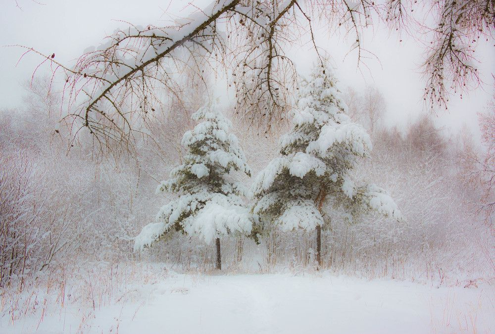 Зимнее настроение