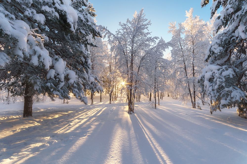 Февраль севера
