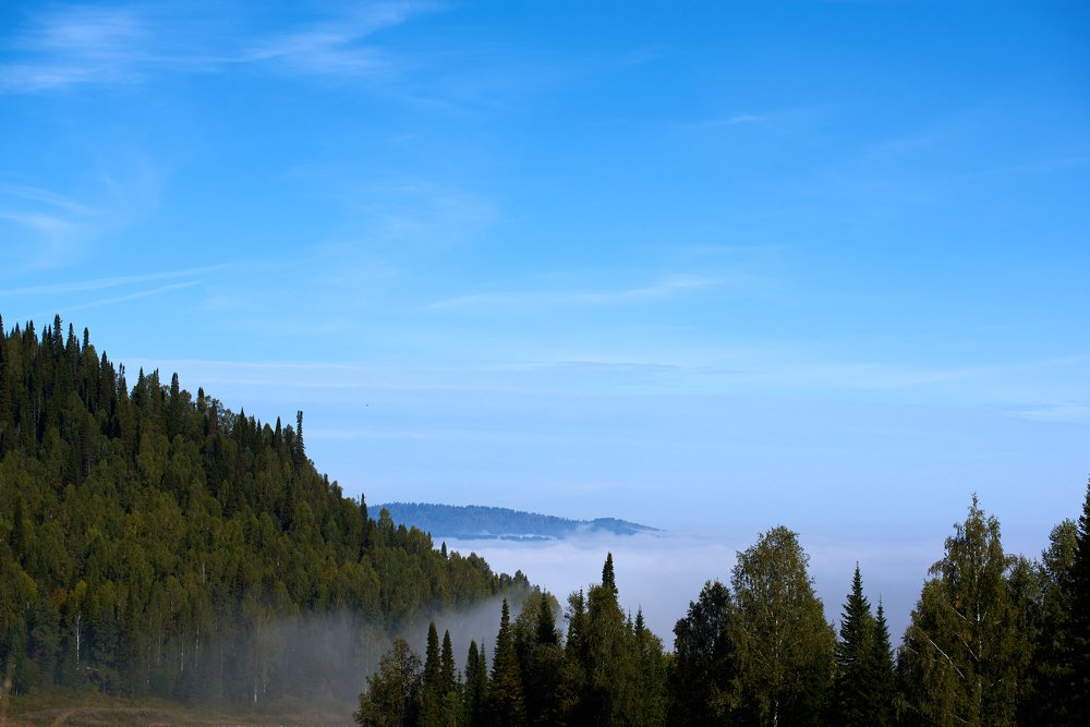 Туменное утро