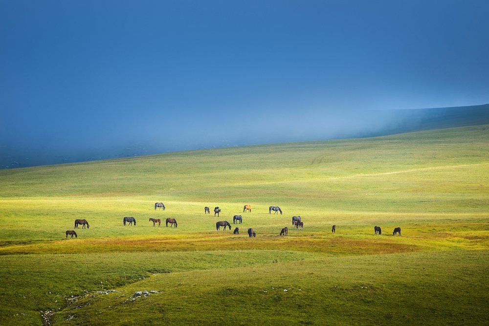Перед грозой