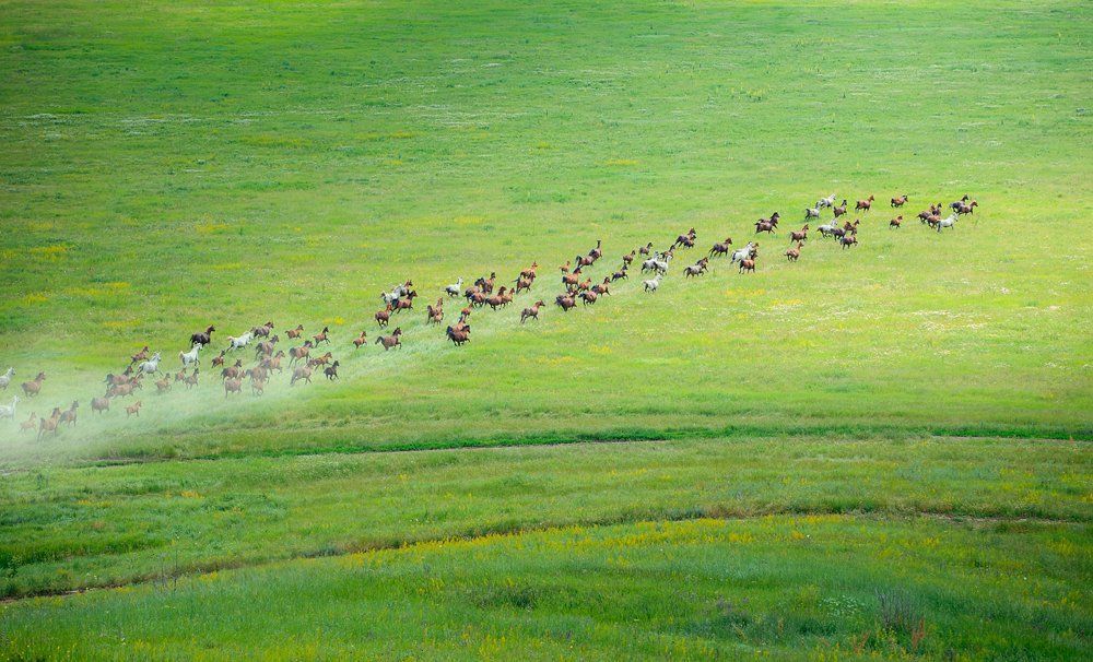 Дух свободы