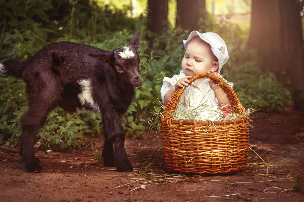 А я в домике)