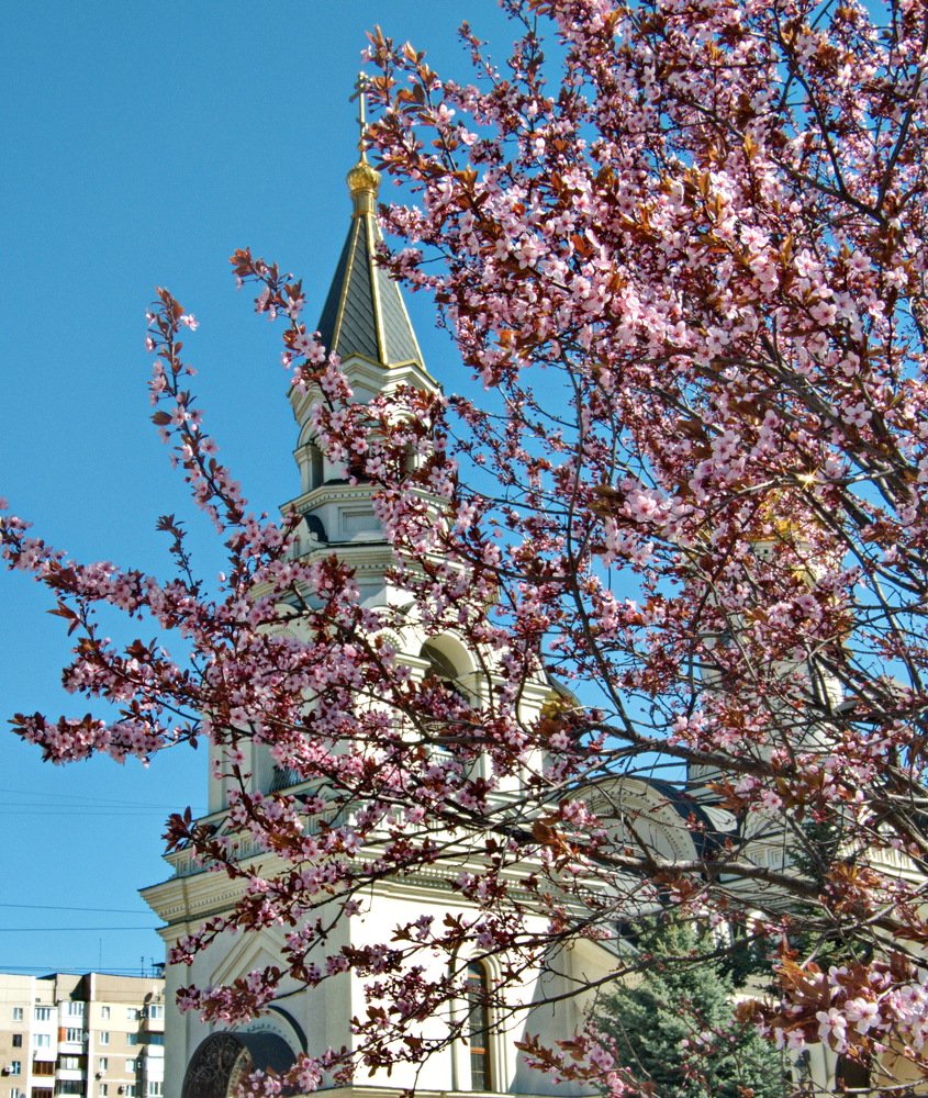 Photograph by Валерий