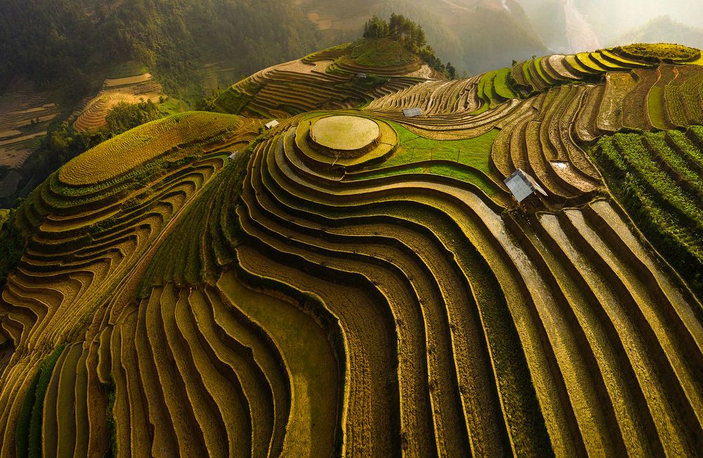 Mu Cang Chai