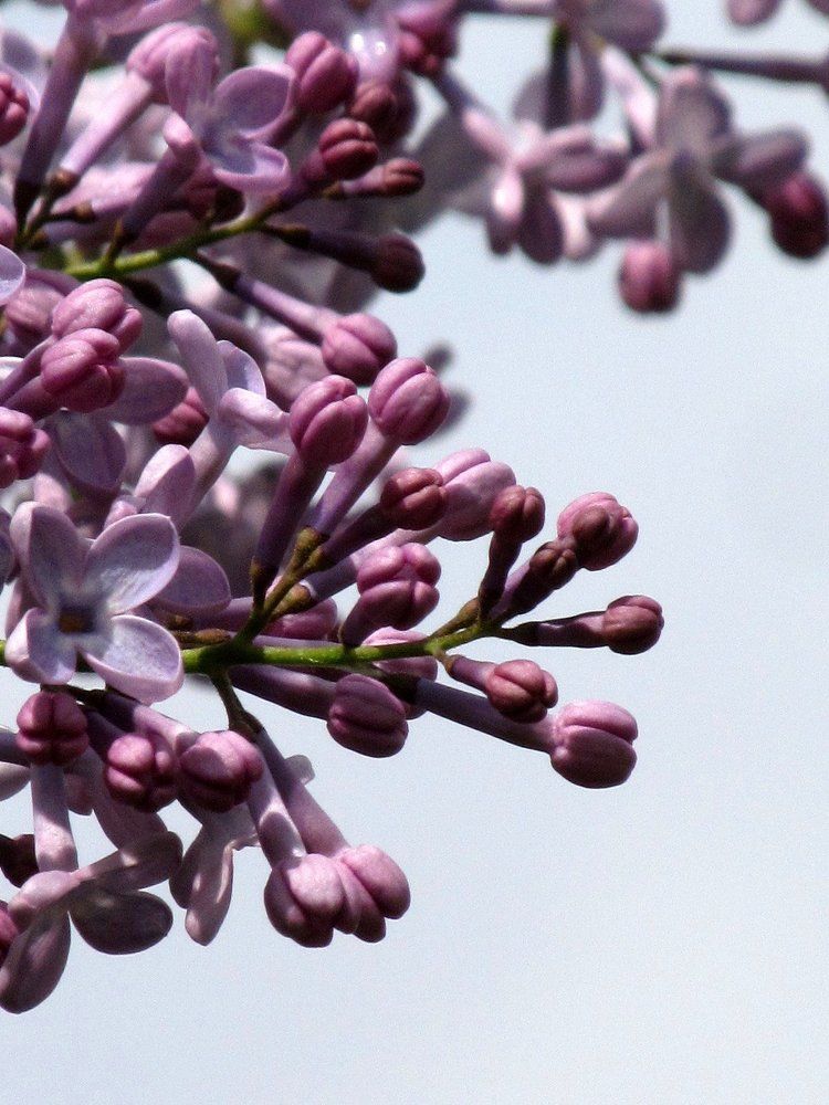 Photograph by Виктория Баглай