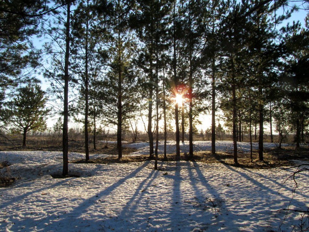 Photograph by Виктория Баглай