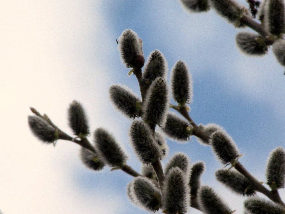 Photograph by Виктория Баглай