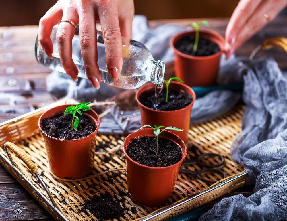 Photograph by Алена