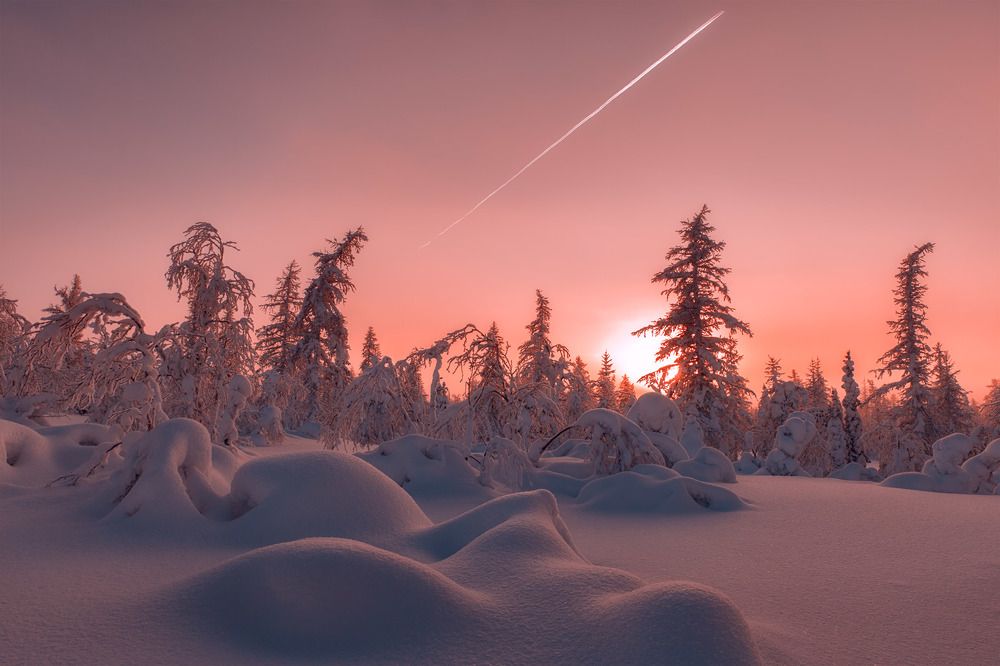 Безмолвие Севера