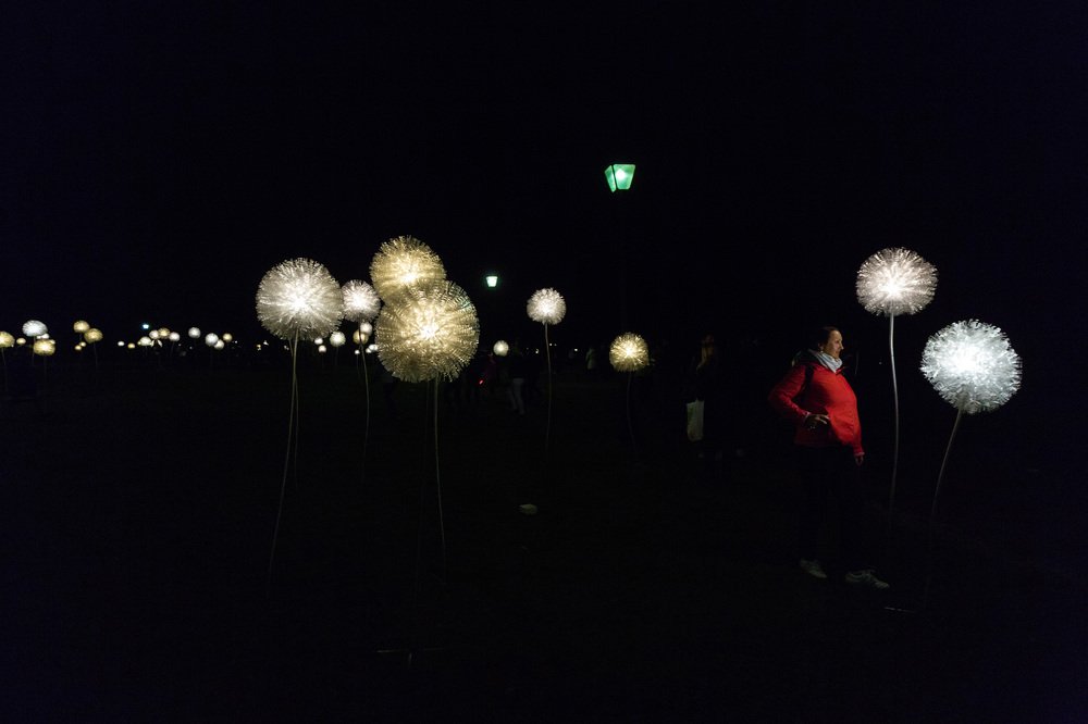 Дама в красном и светлячки