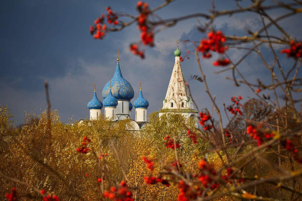 Гроздья рябины красной