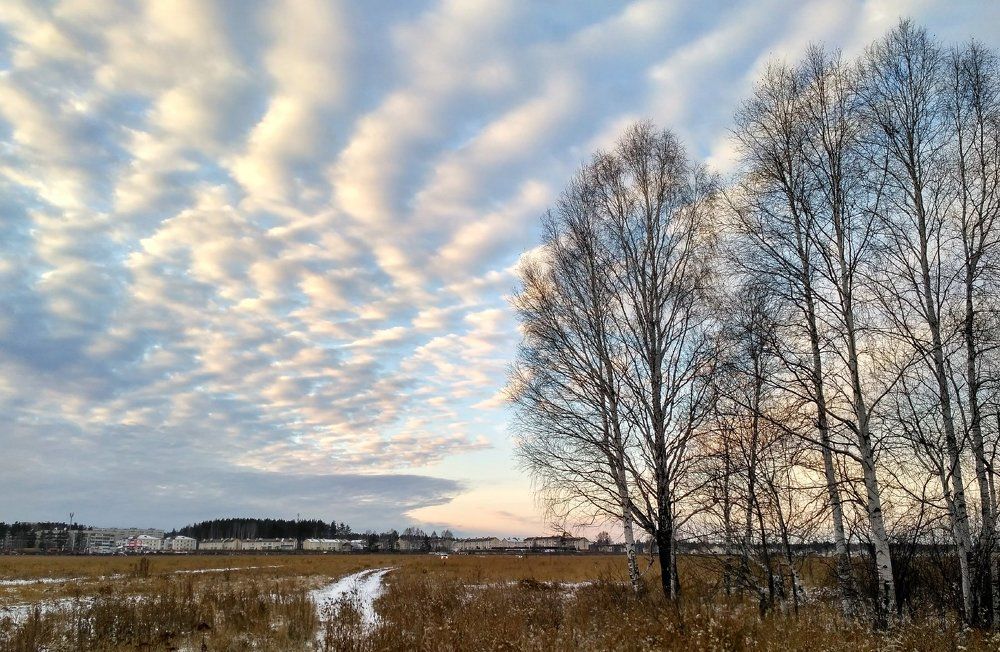 Предчувствие зимы