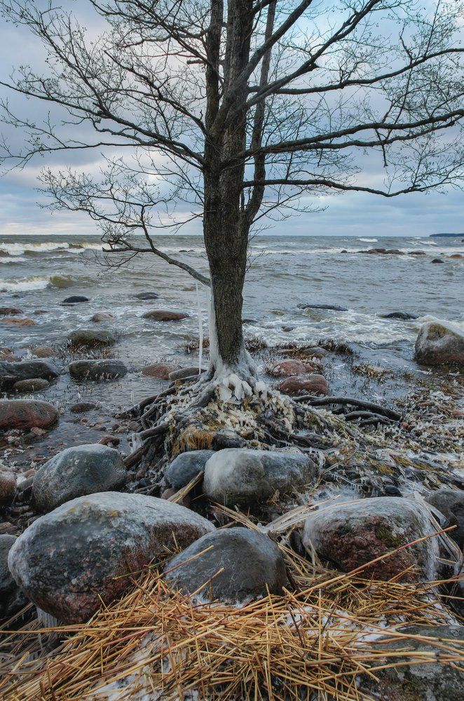 Photograph by Аникина Ирина