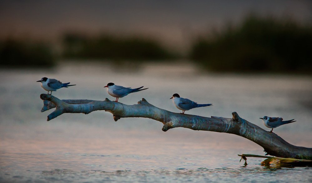 Кто крайний на взлёт