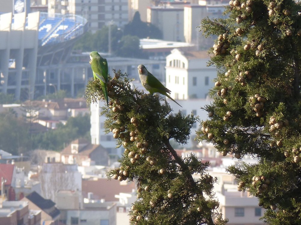 над городом