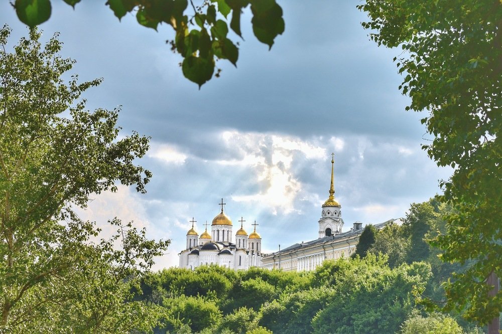 Сквозь зелень лета.