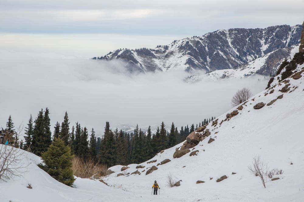 Фотография автора Виктор Вагнер