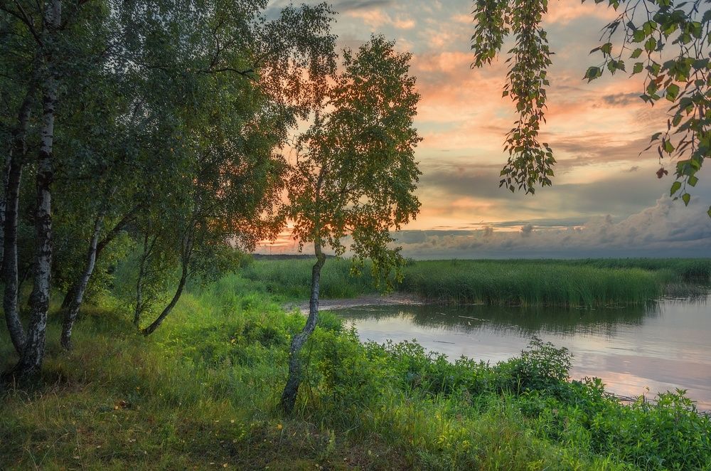 Утро на Куршской косе