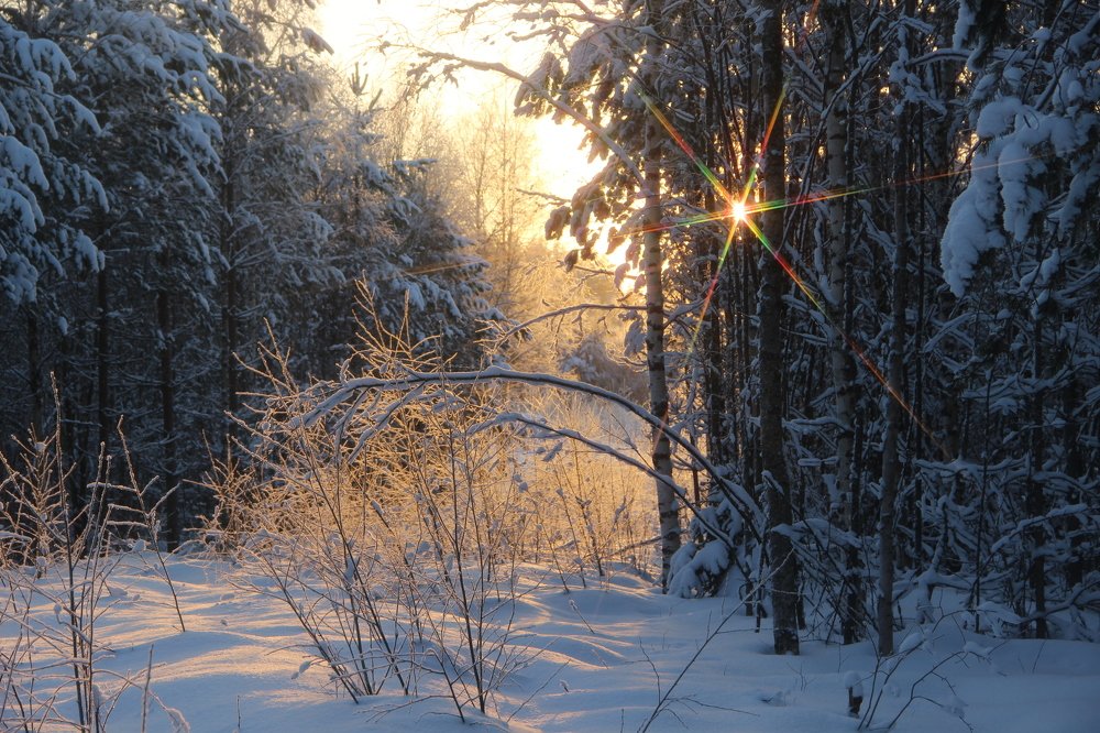 Долгая зима