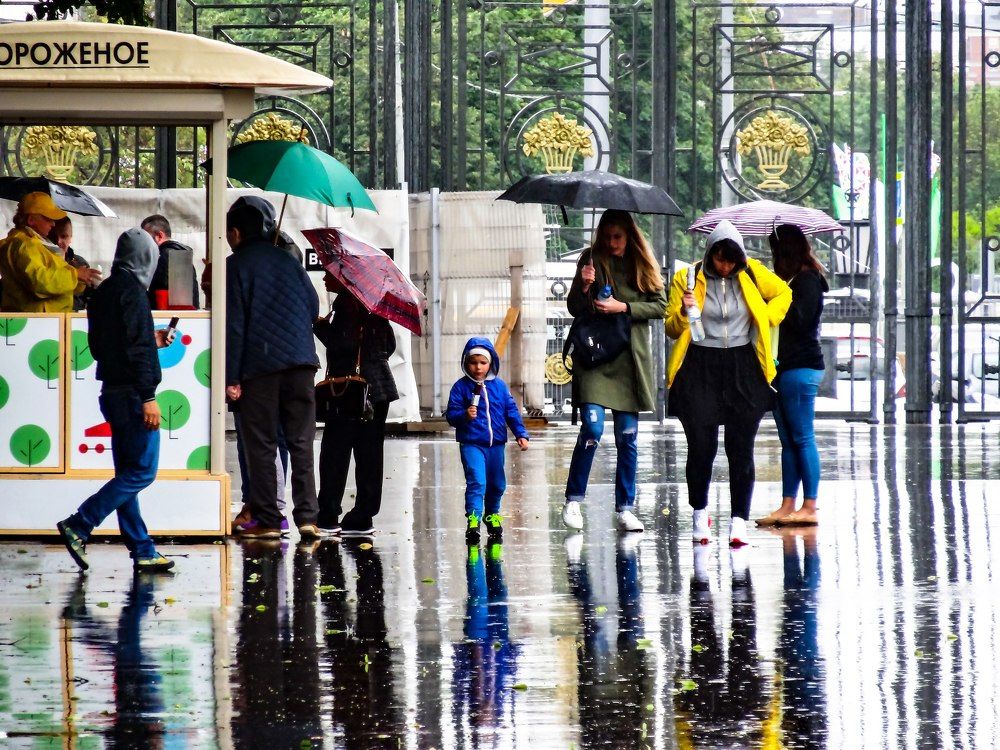 В отражениях