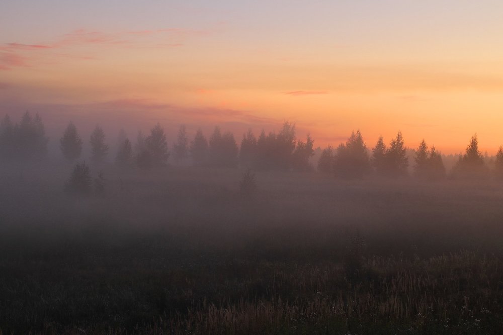 Рязанские рассветы